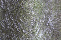 Hampson Green fibreglass roof work